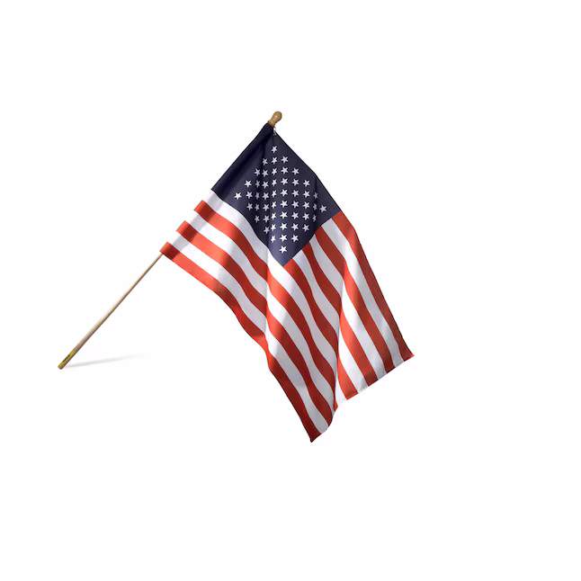 2.5X4 Nylon Flag with 5FT Aluminum Pole
